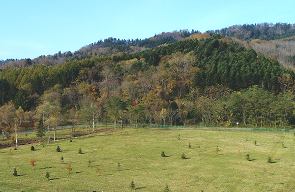 北日本公園